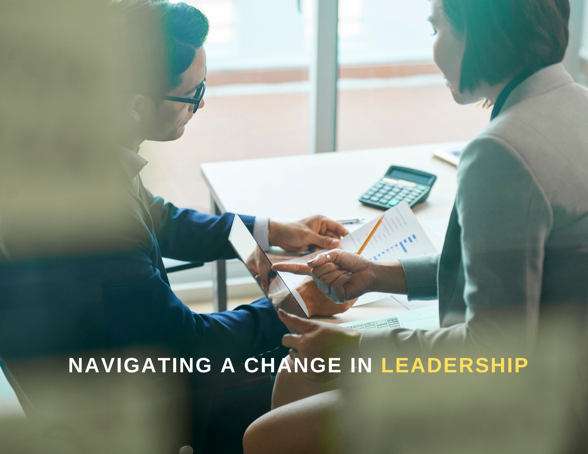 Leader as Coach: How to Maximize Team Performance and Potential